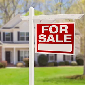 Expert Realty Picture 9