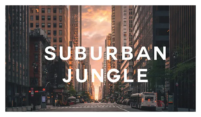 Suburban Jungle Group Picture 2