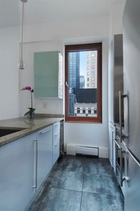 Elena Ravich - Real Estate Broker at Compass Picture 2