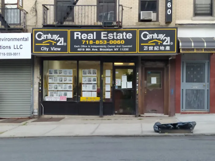 City View NY Real Estate Corp Picture 4