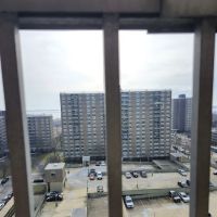 Starrett City Inc ico