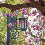 Terrace Sotheby's International Realty