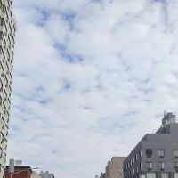 555 Madison Avenue ico