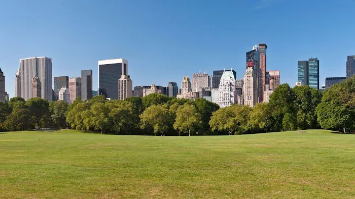 Dot Realty NYC Picture 1