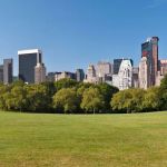 Dot Realty NYC