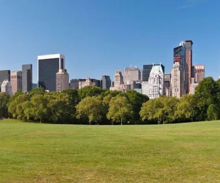 Dot Realty NYC