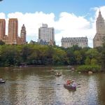 Jolie Muss Licensed Real Estate Broker