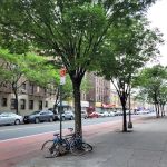 Flatbush Junction Realty