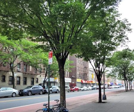 Flatbush Junction Realty