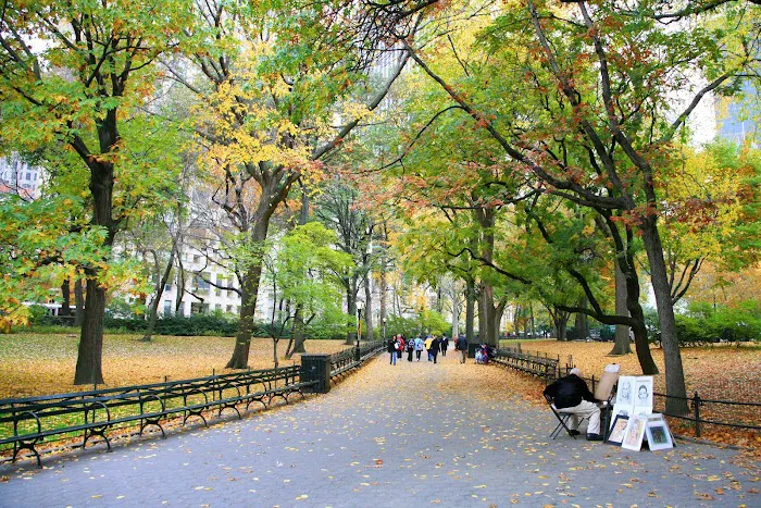 One Manhattan Real Estate Picture 2