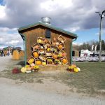 Saxony Towers Realty