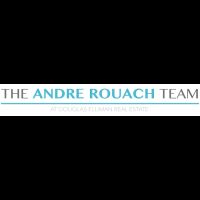 Andre Rouach ico