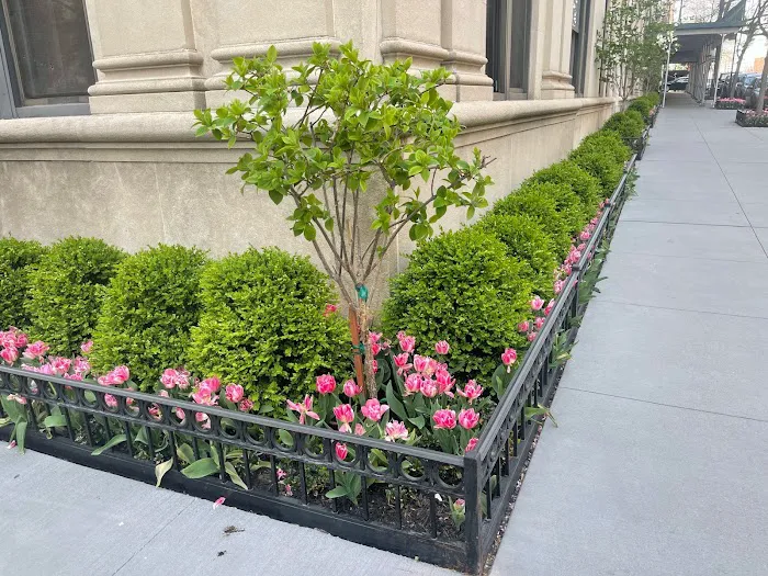 Rachel Realty NYC Picture 5