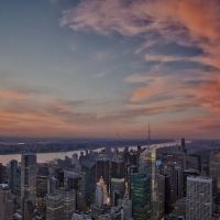 Kushner ico