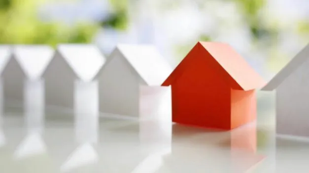 Faulisi Realty LLC Picture 4