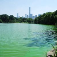 Upper Westside Coops and Condos ico