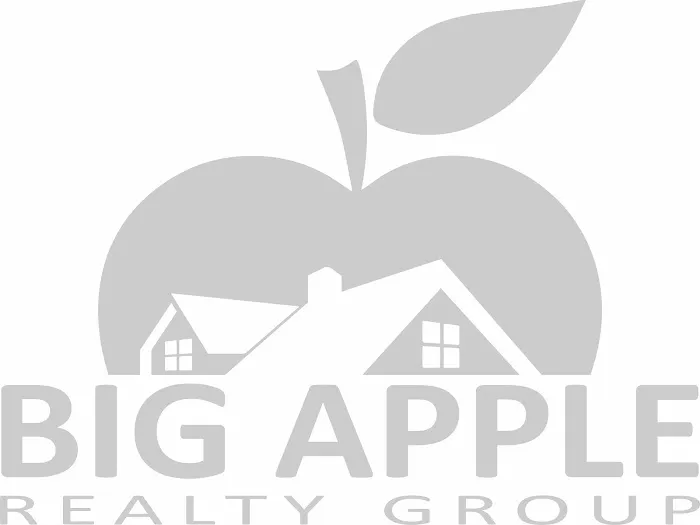 Big Apple Realty Group Picture 1