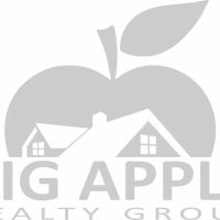 Big Apple Realty Group ico