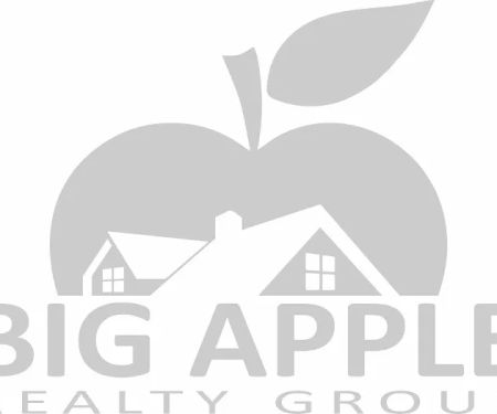 Big Apple Realty Group