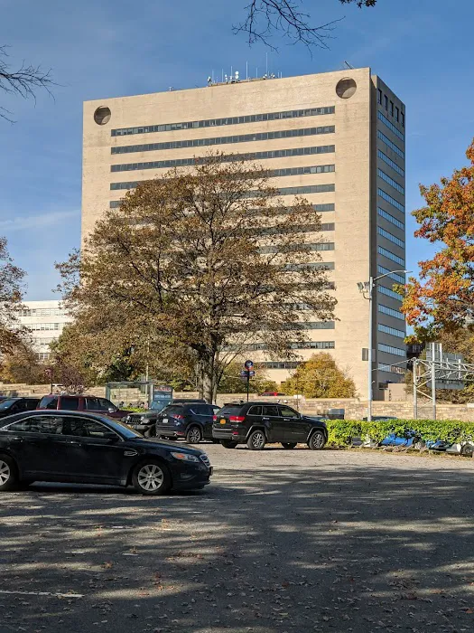 Regus - Forest Hills Tower-Queens Picture 2