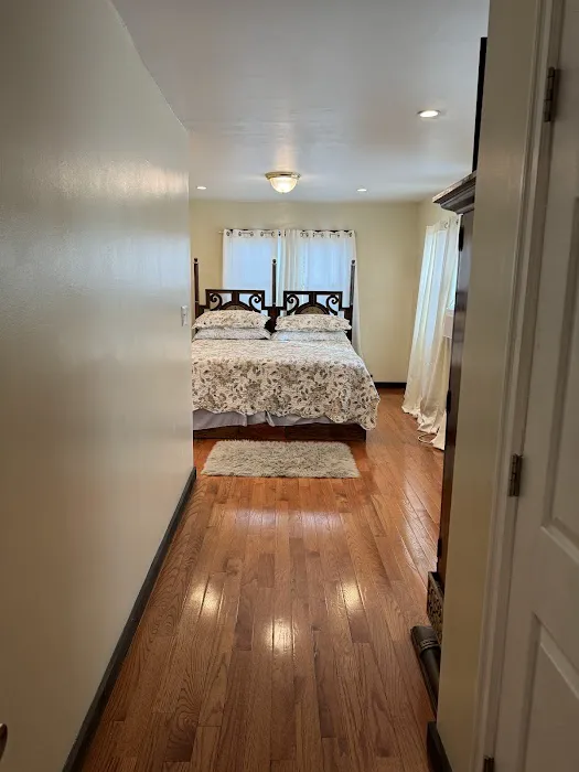 Apartments Everywhere, established 2022 Picture 4