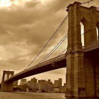 Luke Constantino Senior Associate Momentum Real Estate ico