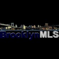 Brooklyn MLS ico