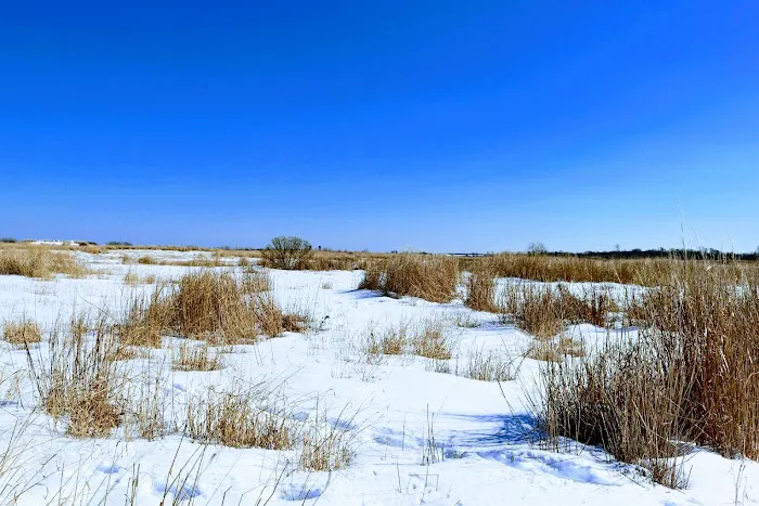 Korr Realty Picture 4