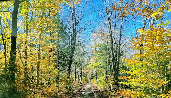 Korr Realty Picture 10