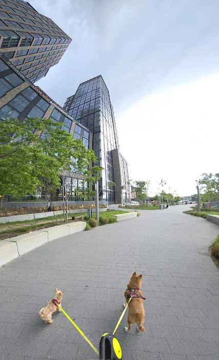 Lincoln at Bankside Picture 5