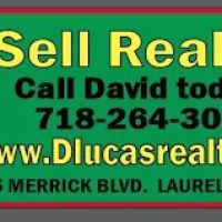 D Lucas Realty ico