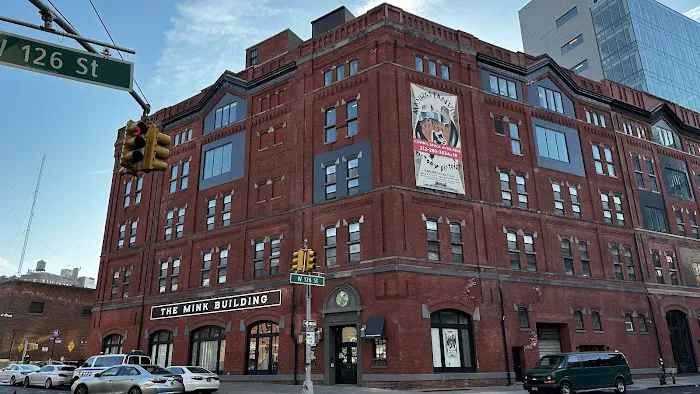 The Mink Building Picture 3