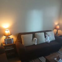Coney Island Site Housing Inc ico