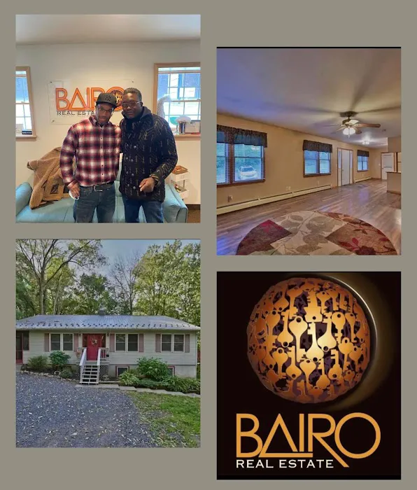 Bairo Real Estate Picture 6