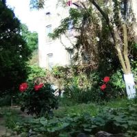 Woodycrest Gardens HDFC ico