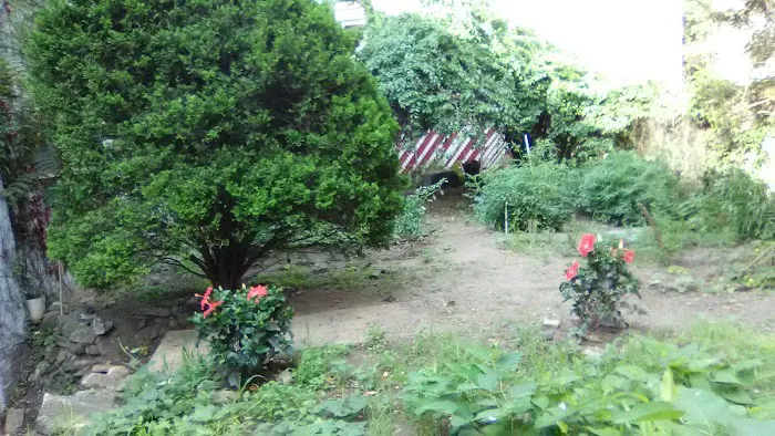 Woodycrest Gardens HDFC Picture 3
