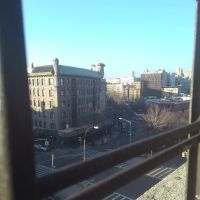 Rosa Rooms For Rent ico