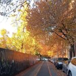 Terrace Realty Associates