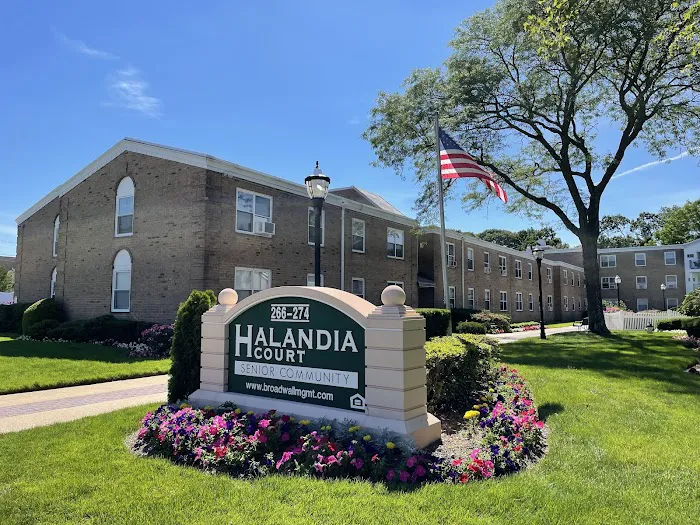 Halandia associates Picture 2