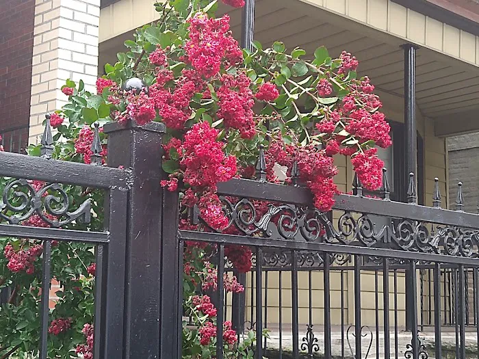 Decatur Properties Inc Picture 1