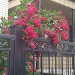 Decatur Properties Inc