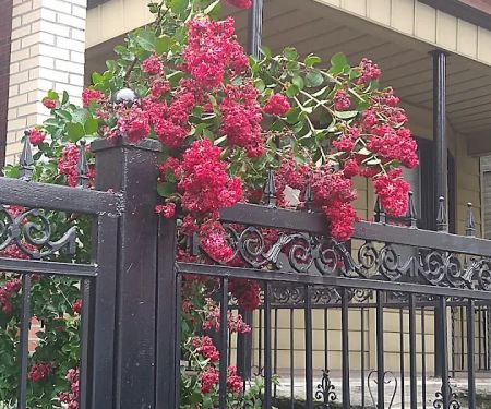 Decatur Properties Inc