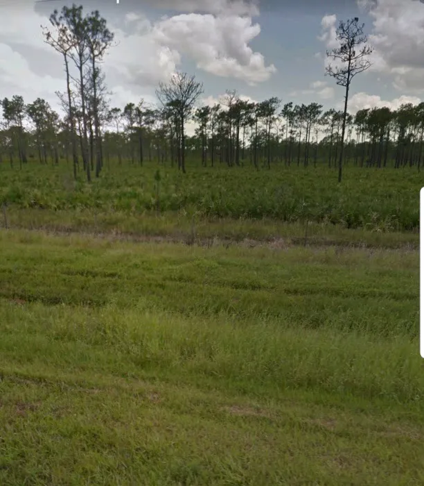 Lucrative Land LLC Picture 1