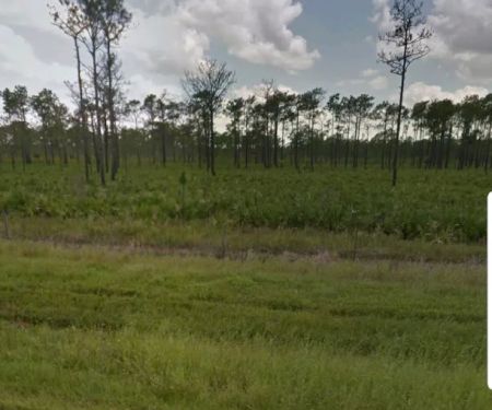 Lucrative Land LLC