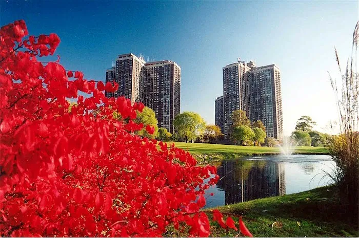 Linda D. Rappaport - Akam Sales at North Shore Towers Picture 4