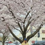 Metro Real Estate Management