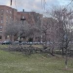 316 Mosholu Realty