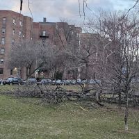 316 Mosholu Realty ico