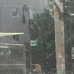 3112 Webster Ave Inc