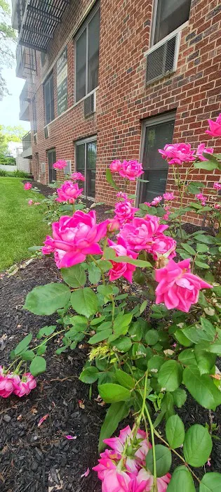 Pelham Park View Picture 1